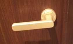 �g�� DSC_0005.JPG